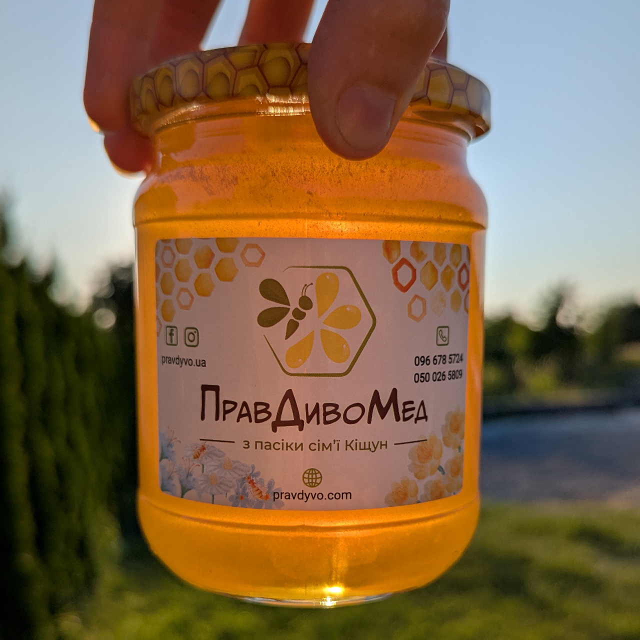Мед Лісові ягоди